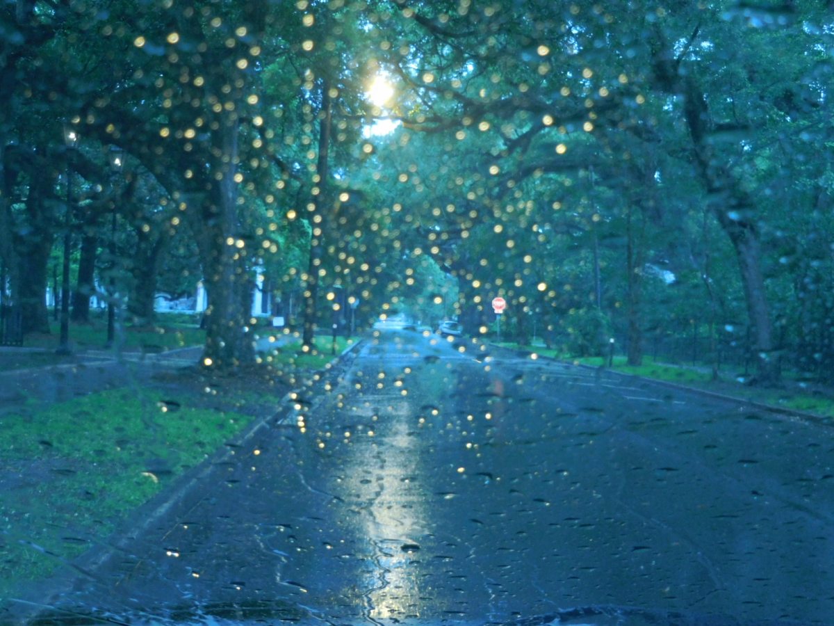 Another Paean to the&nbsp;Rain