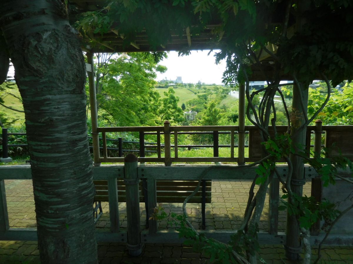 Japan Journal: Where I Come to&nbsp;Sit