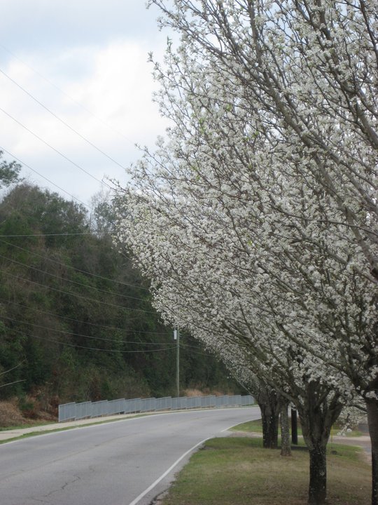 I’m the Anti Target&nbsp;Market