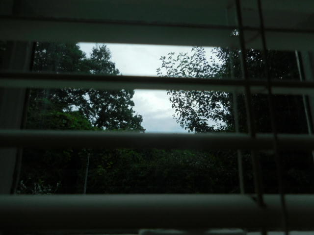 The Most Pleasant Sundays Aren’t&nbsp;Sunny